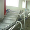 Automatic Fruit and Vegetable Production Line